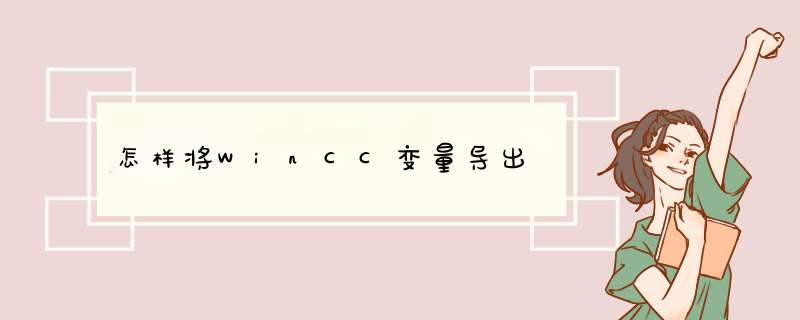 怎样将WinCC变量导出