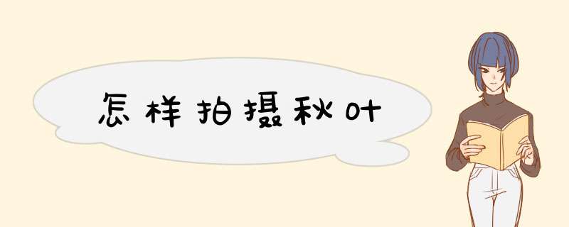 怎样拍摄秋叶