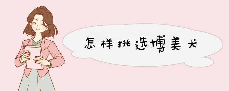 怎样挑选博美犬