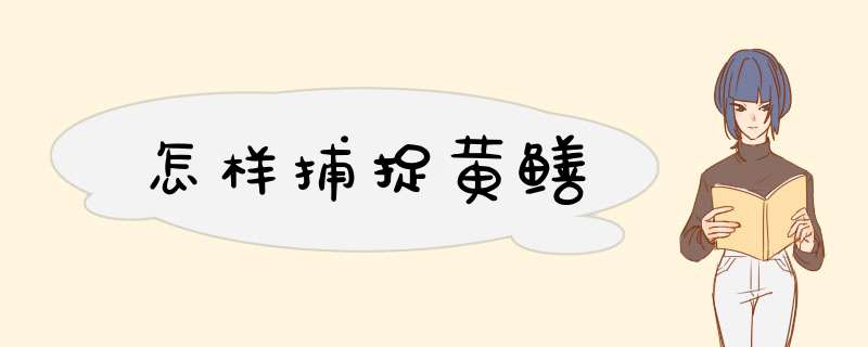 怎样捕捉黄鳝