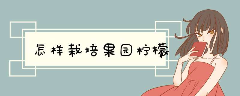 怎样栽培果园柠檬