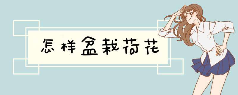 怎样盆栽荷花