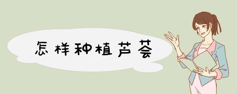 怎样种植芦荟
