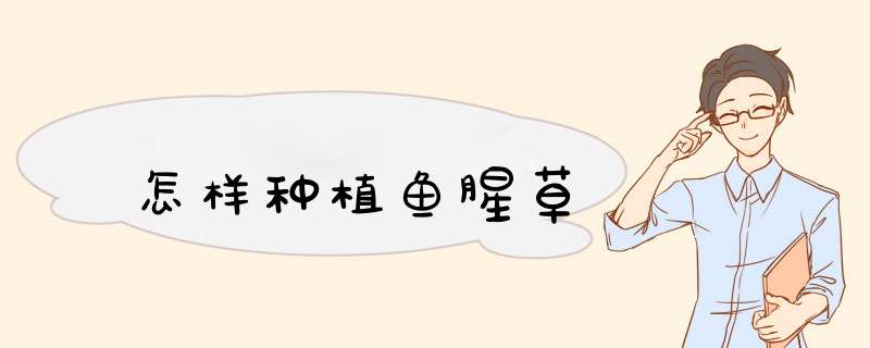 怎样种植鱼腥草