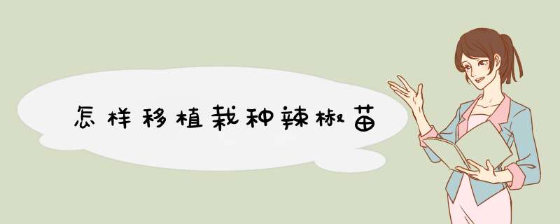 怎样移植栽种辣椒苗