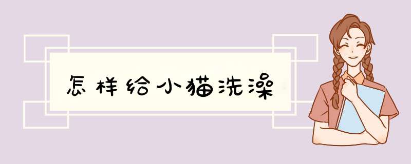 怎样给小猫洗澡