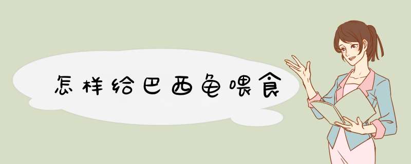 怎样给巴西龟喂食