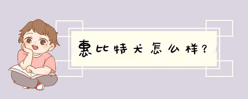 惠比特犬怎么样？