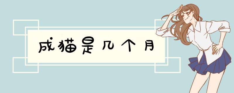 成猫是几个月