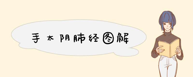 手太阴肺经图解