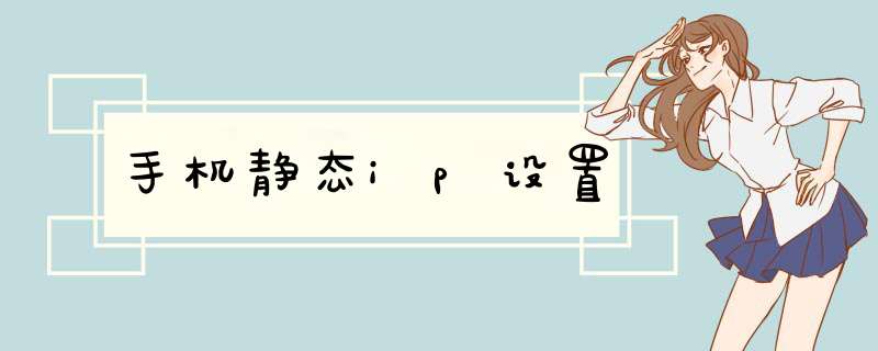 手机静态ip设置