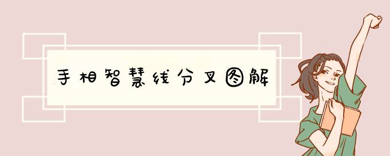 手相智慧线分叉图解