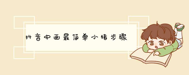抖音中画最简单小猪步骤