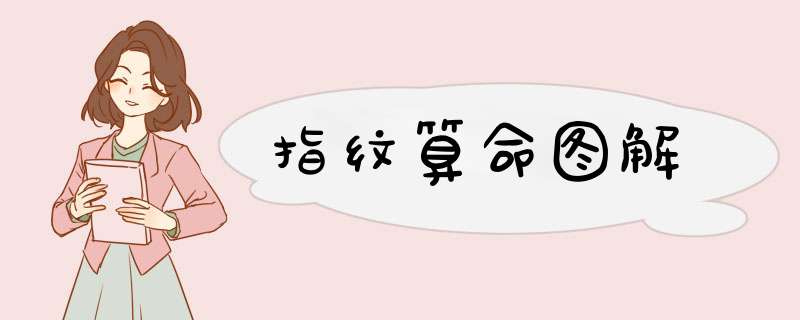 指纹算命图解