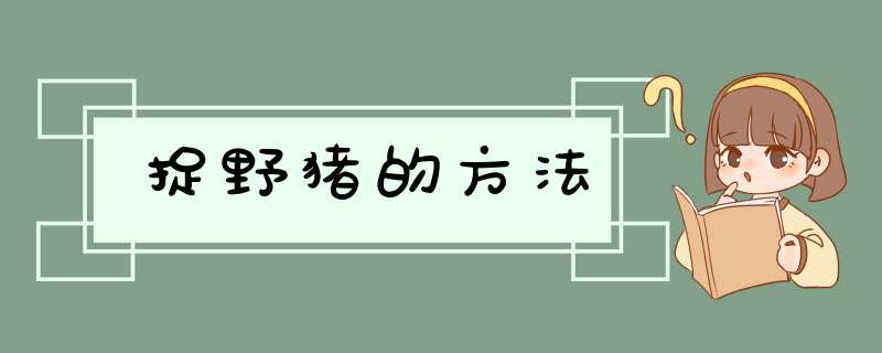 捉野猪的方法