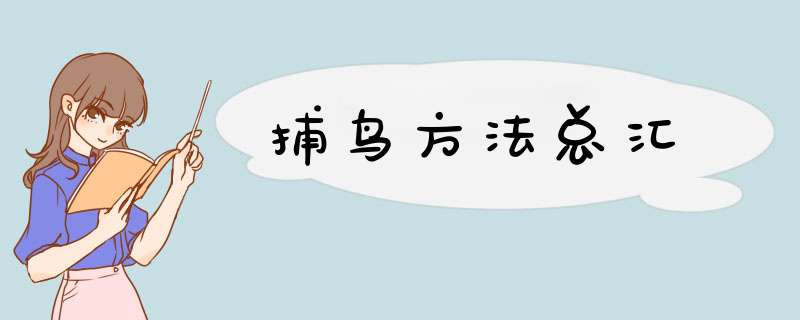 捕鸟方法总汇