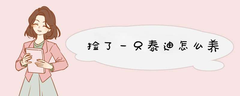 捡了一只泰迪怎么养