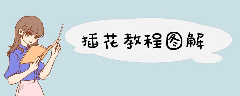 插花教程图解