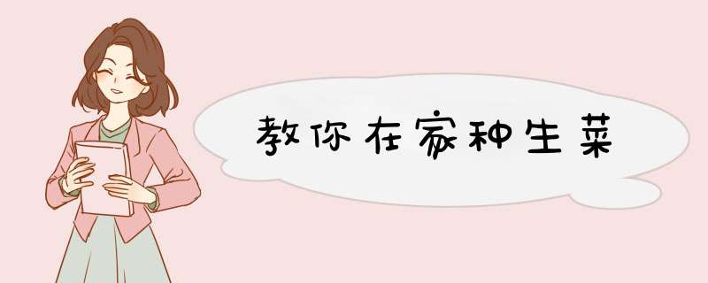 教你在家种生菜