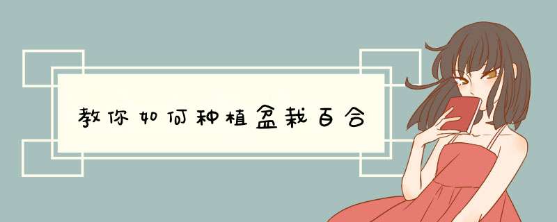 教你如何种植盆栽百合