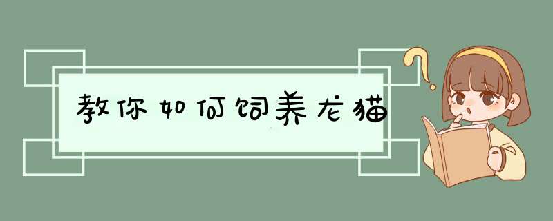 教你如何饲养龙猫