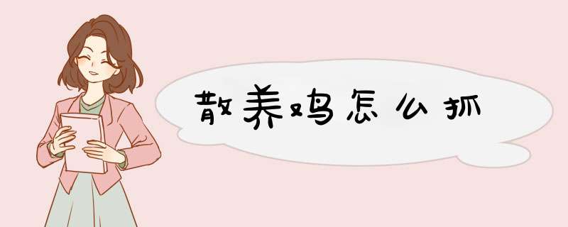 散养鸡怎么抓