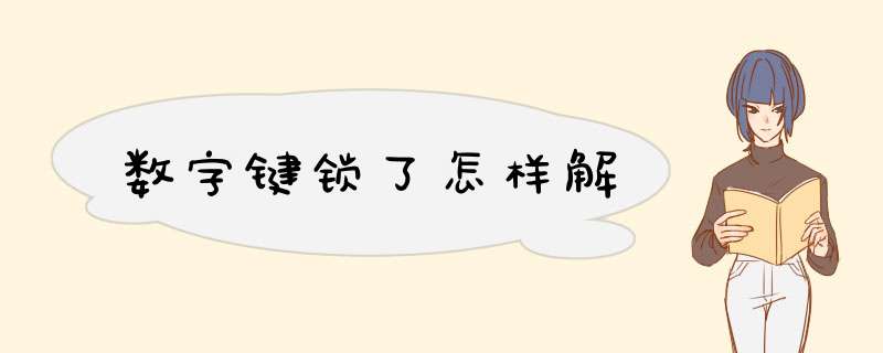数字键锁了怎样解