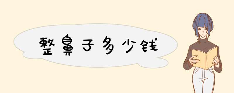 整鼻子多少钱