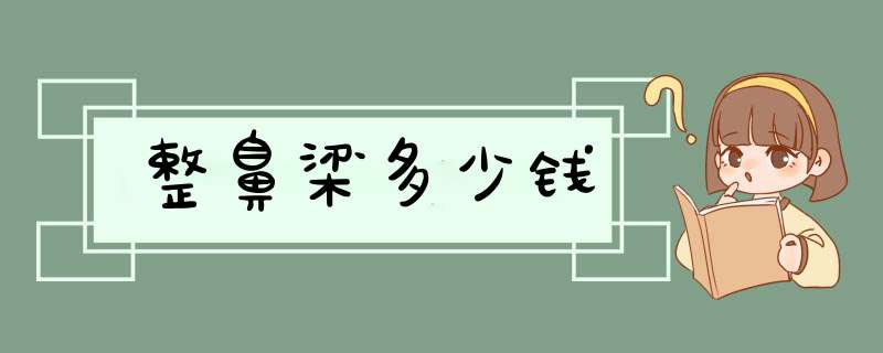 整鼻梁多少钱