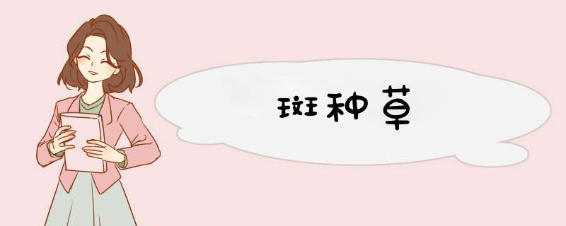 斑种草