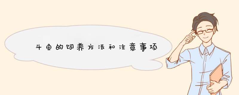 斗鱼的饲养方法和注意事项