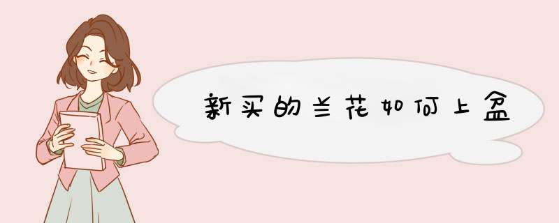 新买的兰花如何上盆
