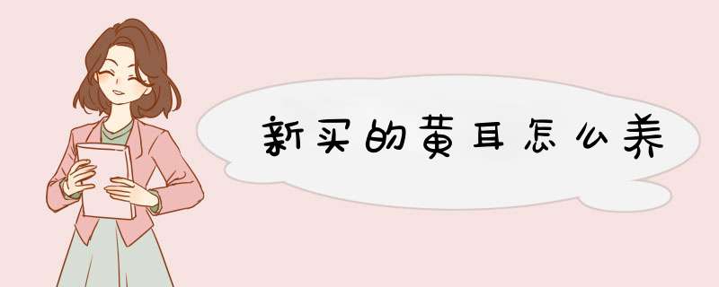 新买的黄耳怎么养