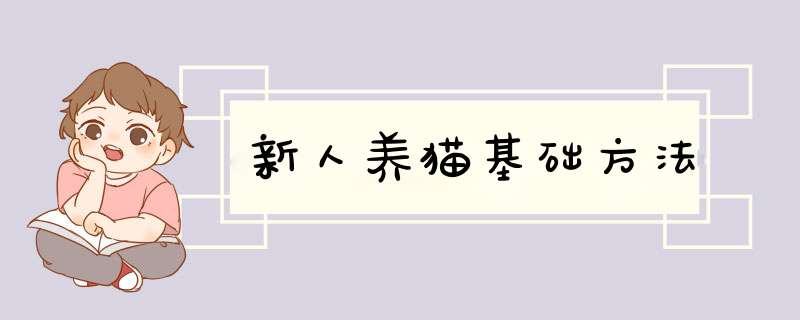 新人养猫基础方法