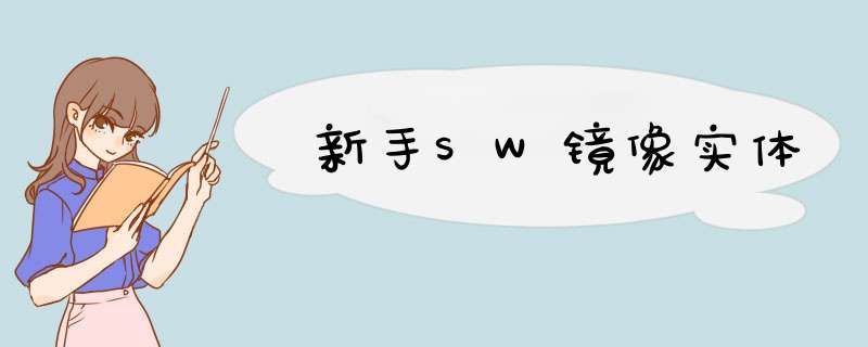 新手SW镜像实体