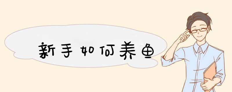 新手如何养鱼