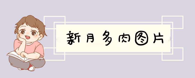 新月多肉图片