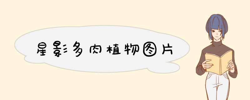 星影多肉植物图片