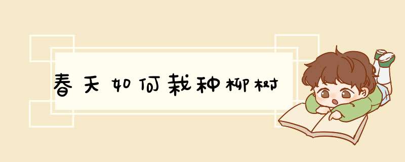 春天如何栽种柳树