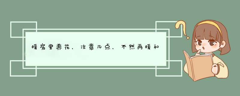 暖房里养花，注意几点，不然再暖和也养不好花！