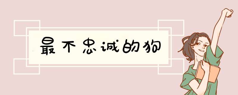 最不忠诚的狗
