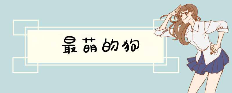 最萌的狗