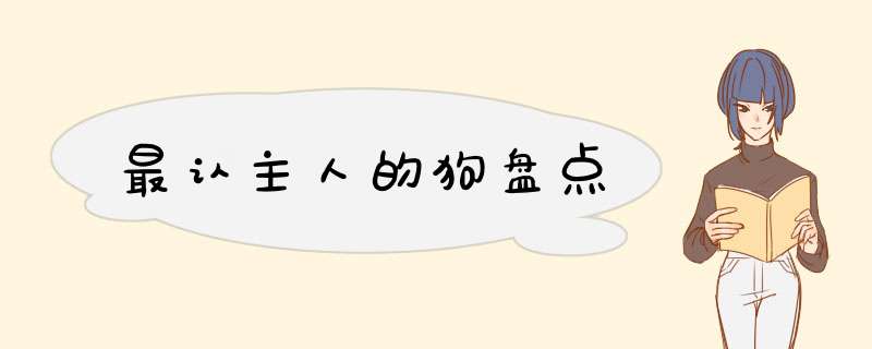 最认主人的狗盘点