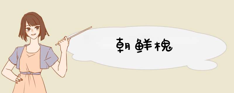 朝鲜槐