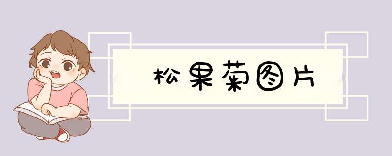 松果菊图片