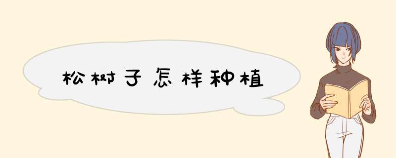 松树子怎样种植
