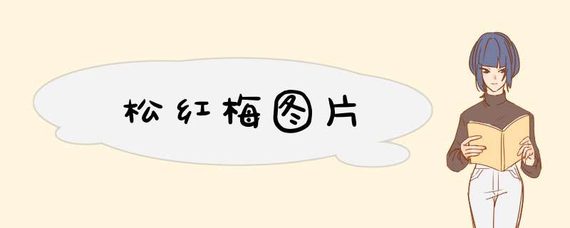 松红梅图片