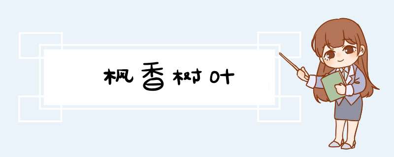 枫香树叶