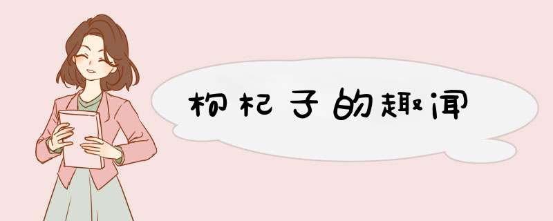 枸杞子的趣闻