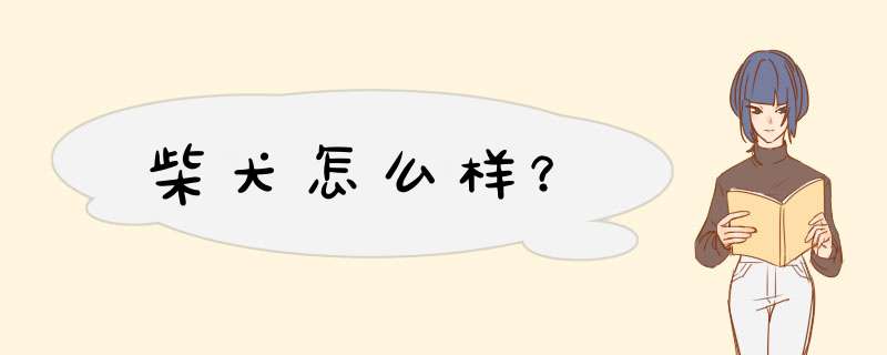 柴犬怎么样？